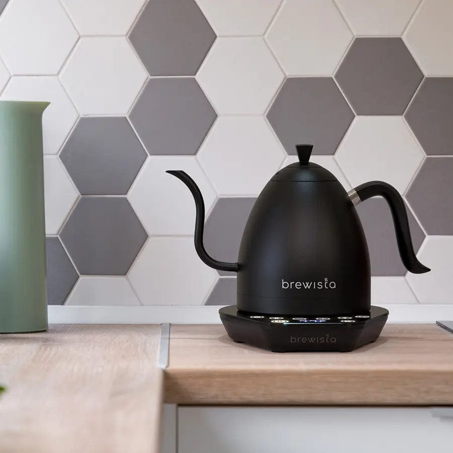 Brewista Artisan 1.0 L Gooseneck Variable Kettle - Black/Black - Wasserkocher Wasserkanne Brewista - rhiinland.com