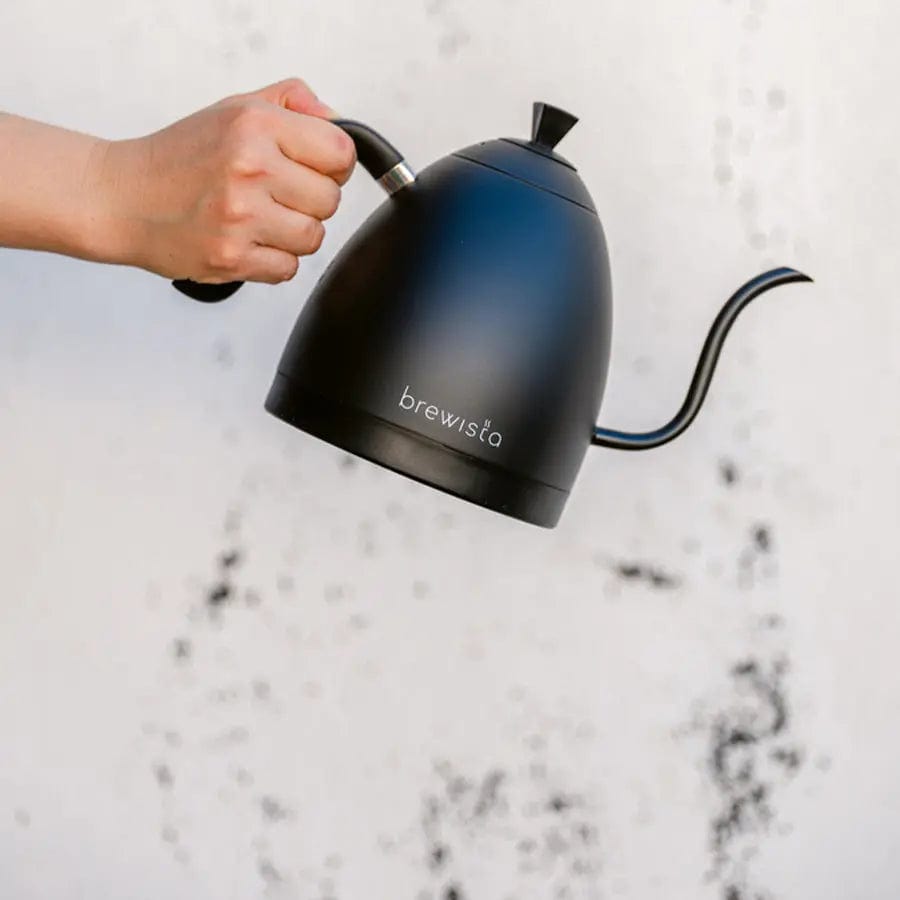 Brewista Artisan 1.0 L Gooseneck Variable Kettle - Black/Black - Wasserkocher Wasserkanne Brewista - rhiinland.com
