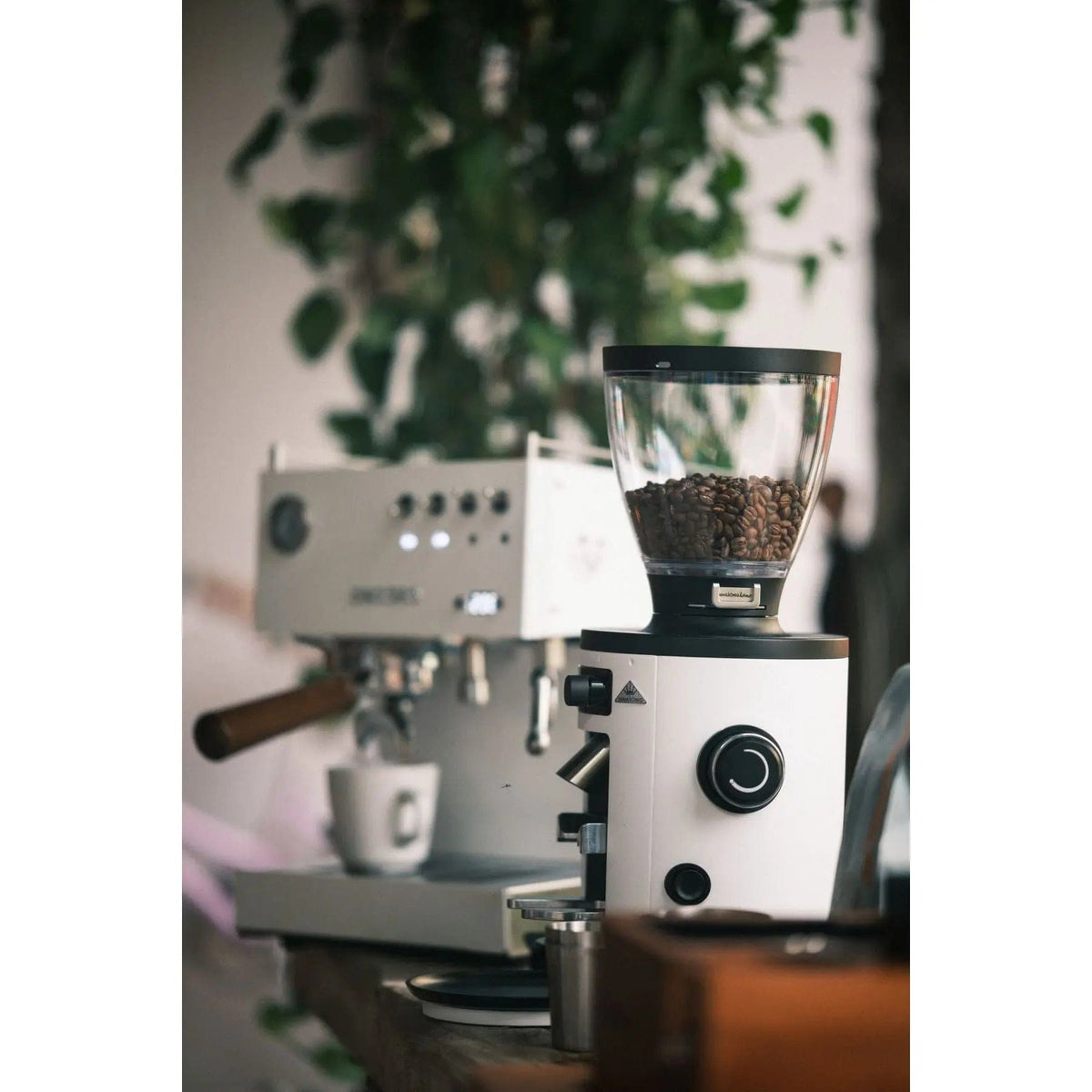 Mahlkönig X54 Haushaltsmühle - verschiedene Farben Kaffeemühlen Mahlkönig - rhiinland.com