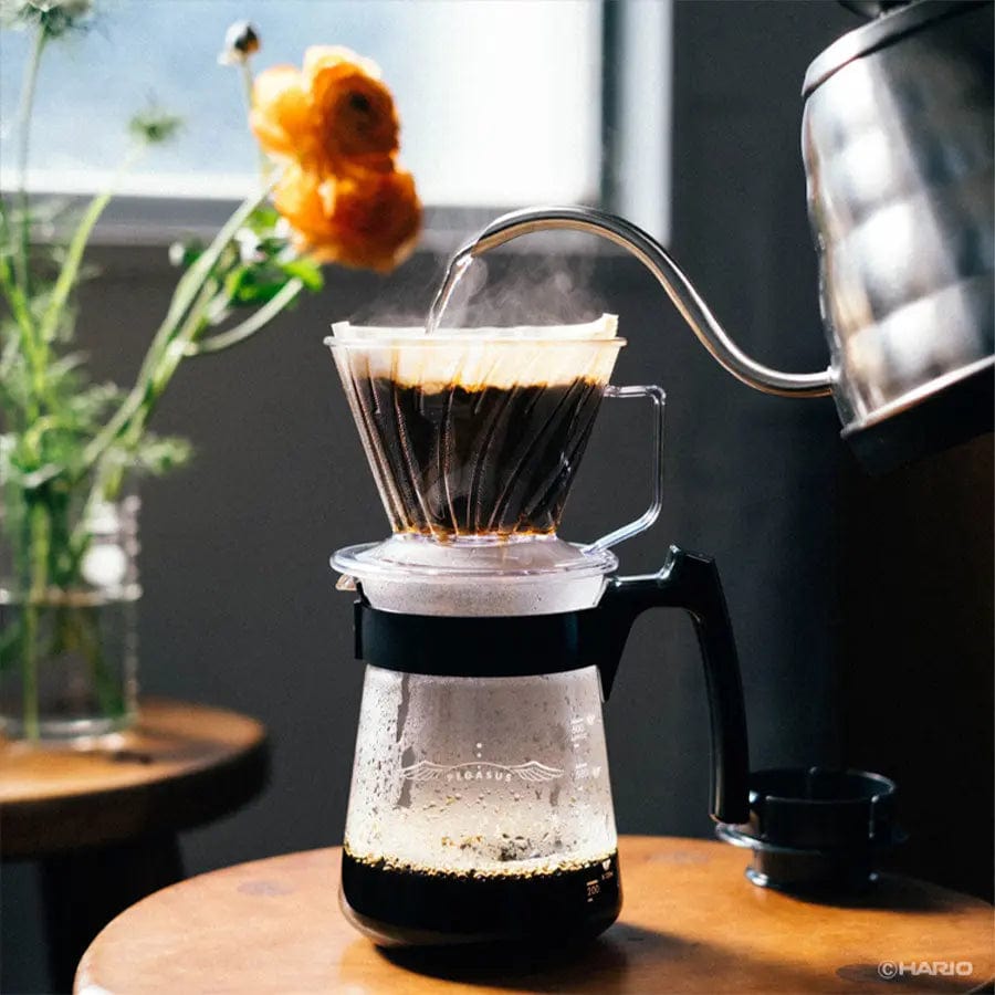 Hario Pegasus Server aus Glas - 3 Größen Kaffeefilter Hario - rhiinland.com