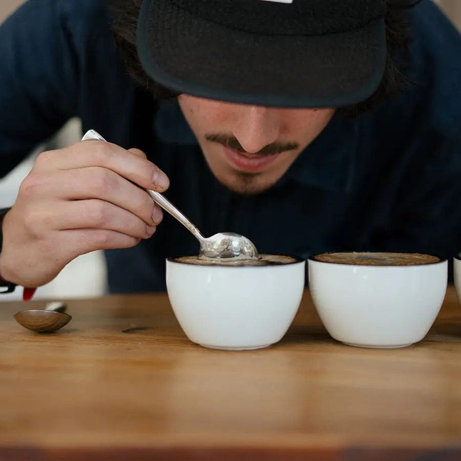 Rhino Coffee Gear Cupping Bowl - Tasting Cup Tasting Cup Rhinowares - rhiinland.com