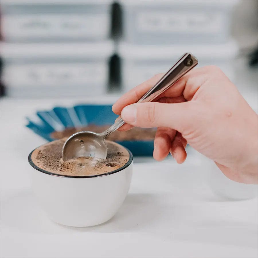 Rhino Coffee Gear Cupping Bowl - Tasting Cup Tasting Cup Rhinowares - rhiinland.com